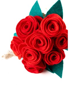 ROSAS ROJAS